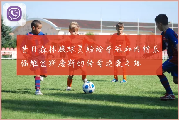 昔日森林狼球员纷纷夺冠加内特乐福维金斯唐斯的传奇逆袭之路